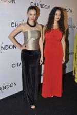 Evelyn Sharma at Moet Hennesey launch of Chandon wines made now in India in Four Seasons, Mumbai on 19th Oct 2013